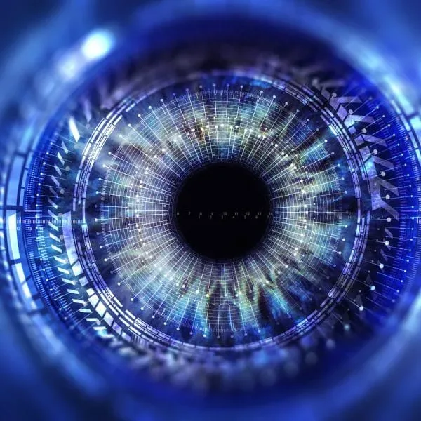 Eye viewing digital information represented by circles and signs, background depth of field. Technology concept. 3D illustration