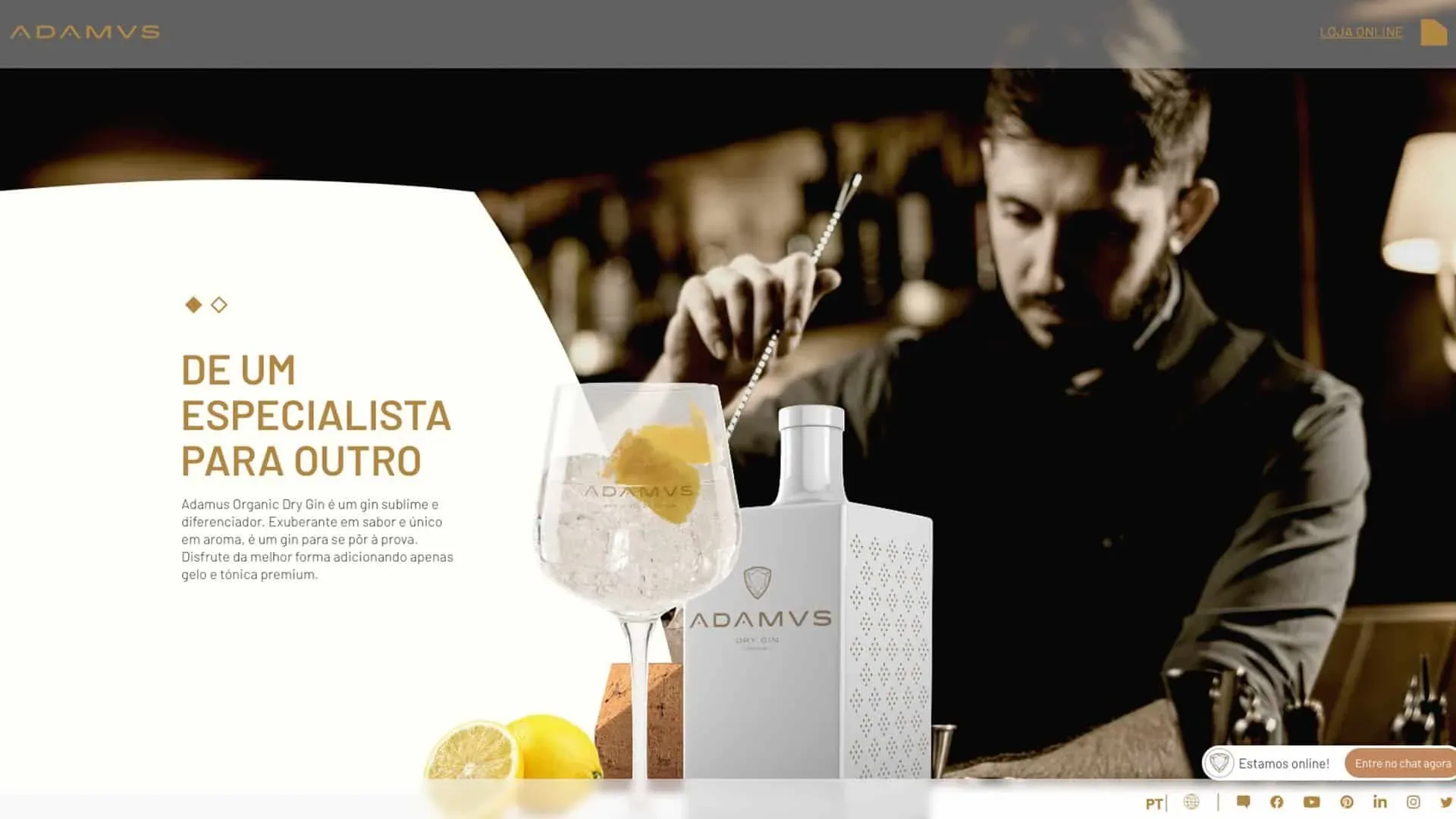 Bartender fazendo GIN