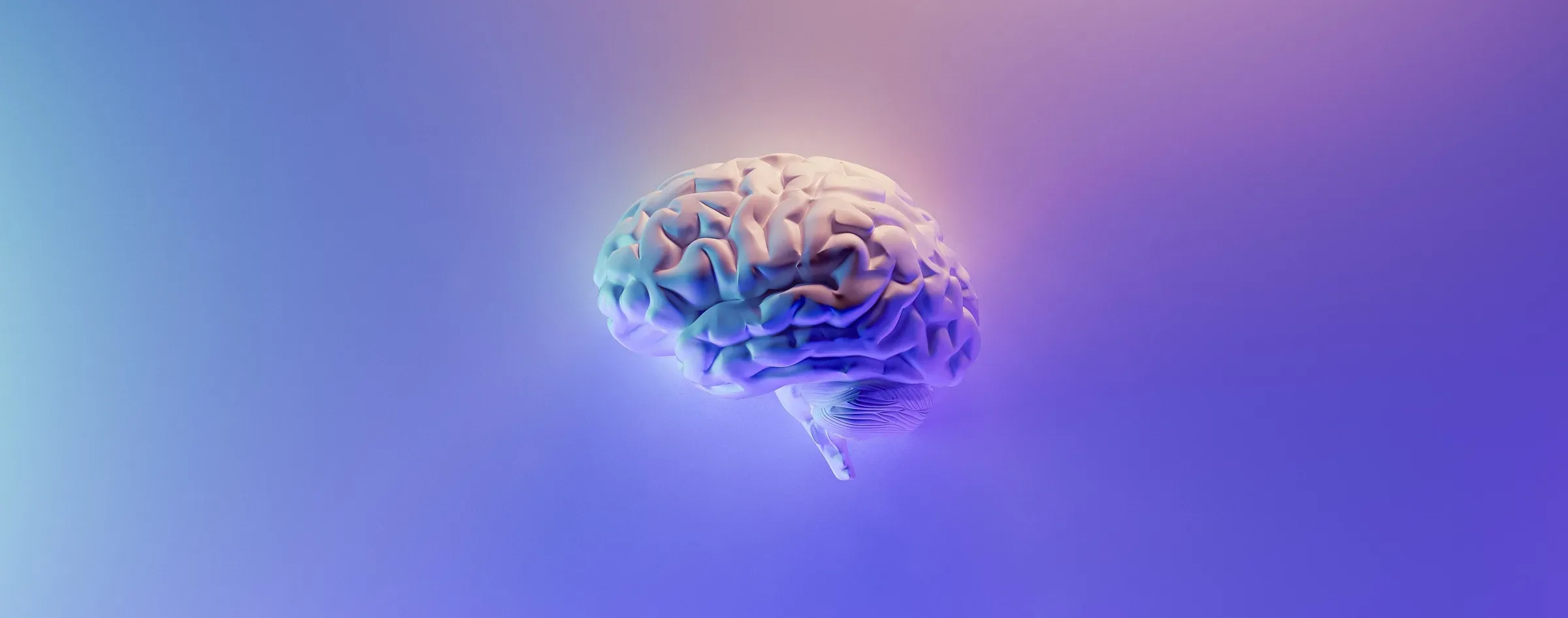 brain illustration
