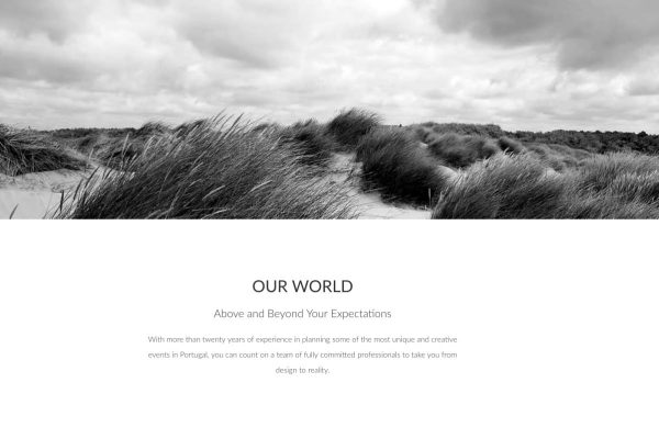 Mustik website Website development