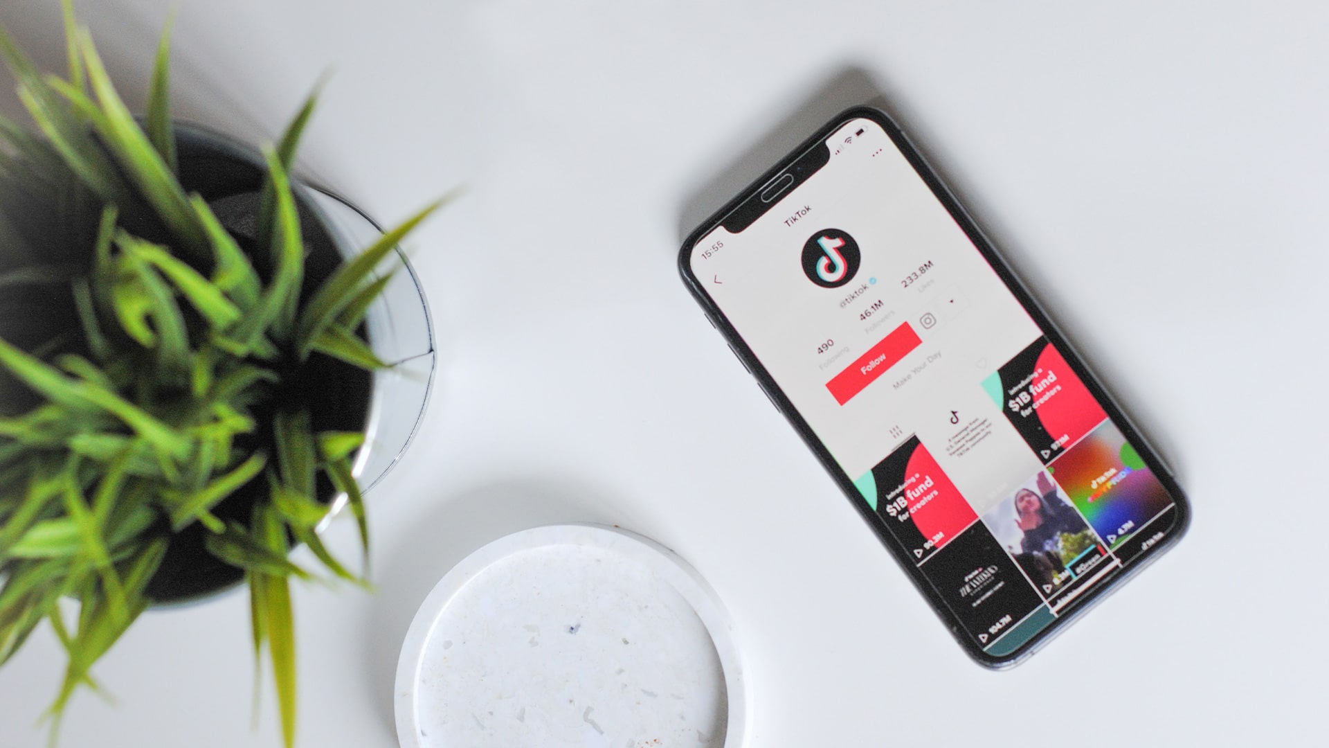 TikTok’s ascension