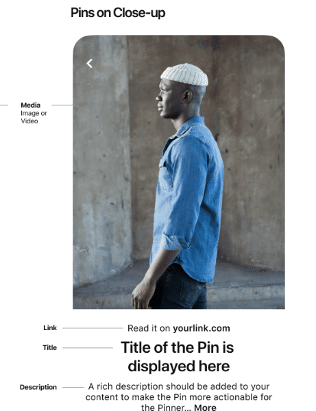 descrição dos pins