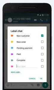 categorias whatsapp business