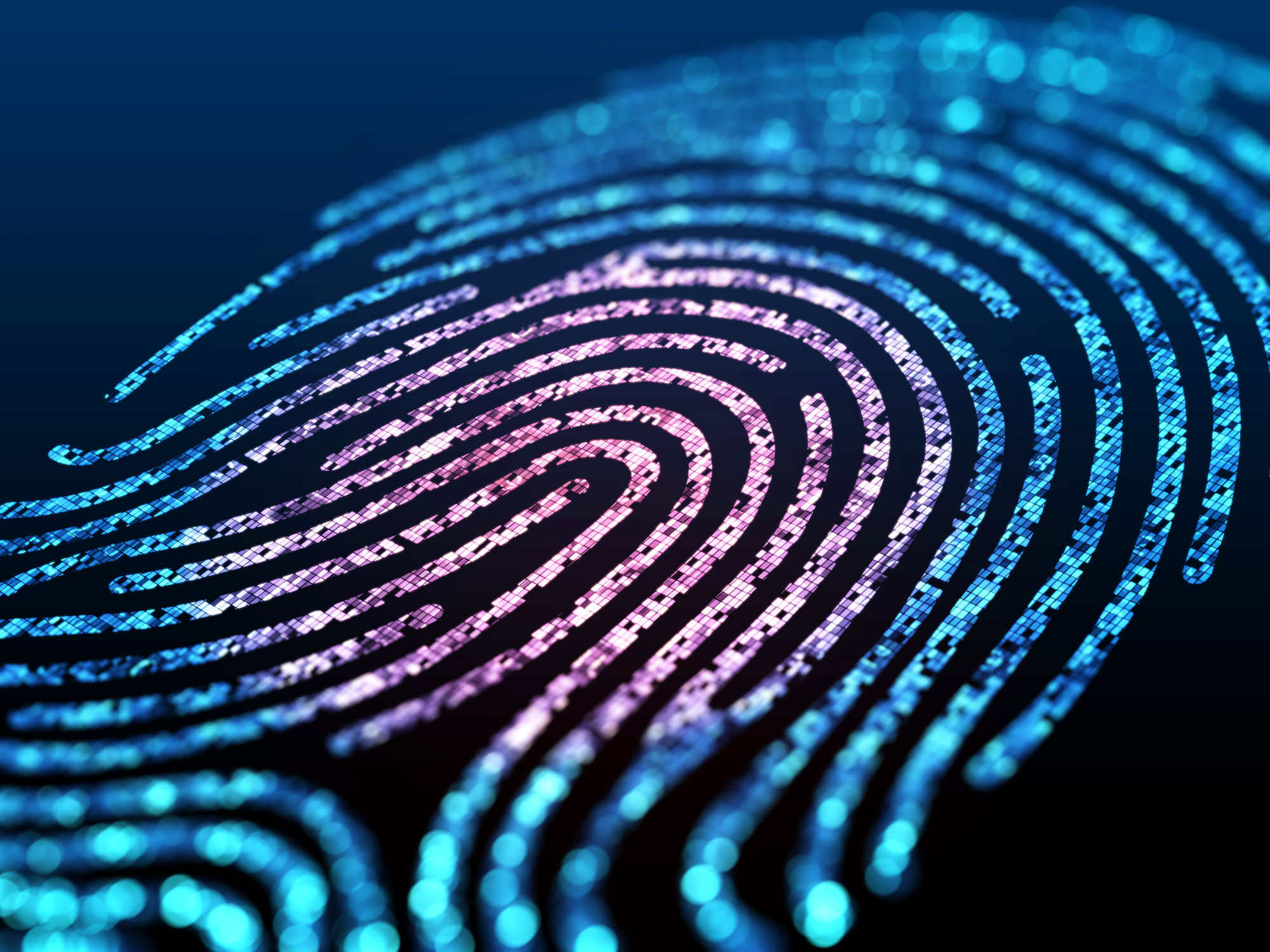 The Data Era – The New Digital Gold?